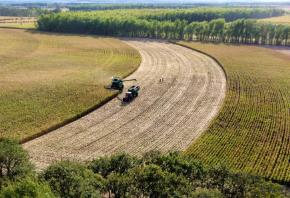 希望的田野 豐收的禮贊——寫在第八個“中國農民豐收節”