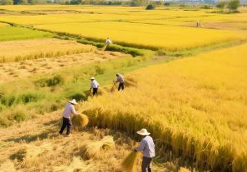 數說豐收里的河南