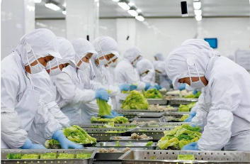 政策定調 標準護航 認識提升  預制菜產業高質量發展當跨“三重門”