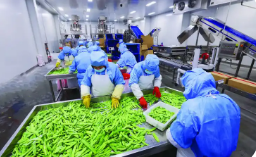 因地制宜 各展所長 黑龍江農業產業發展活力強勢頭旺