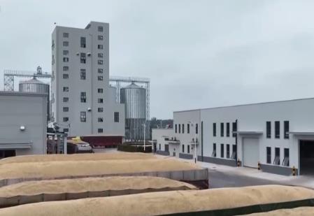 “沃野糧倉”科技大顯身手 金秋多彩“豐”景有“智”又有“質”