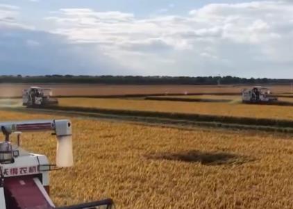 沃野金黃、瓜果飄香、漁獲滿倉鋪展喜人“豐”景 “科技+”讓農業向“智”而行