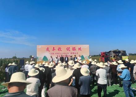 “河南·鄧州紅小米之鄉”授牌 慶豐收 促振興 金秋喜開鐮