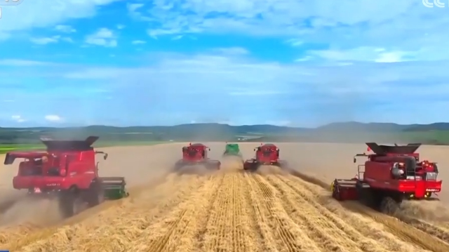 我國糧食供給保障能力持續增強