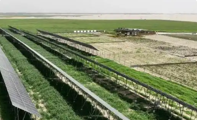 中廣核扎根新疆十六載 “風光”無限繪就興業富民新藍圖