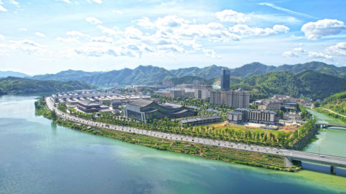 理想華萊：以黑茶產業精準幫扶，驅動鄉村經濟新飛躍