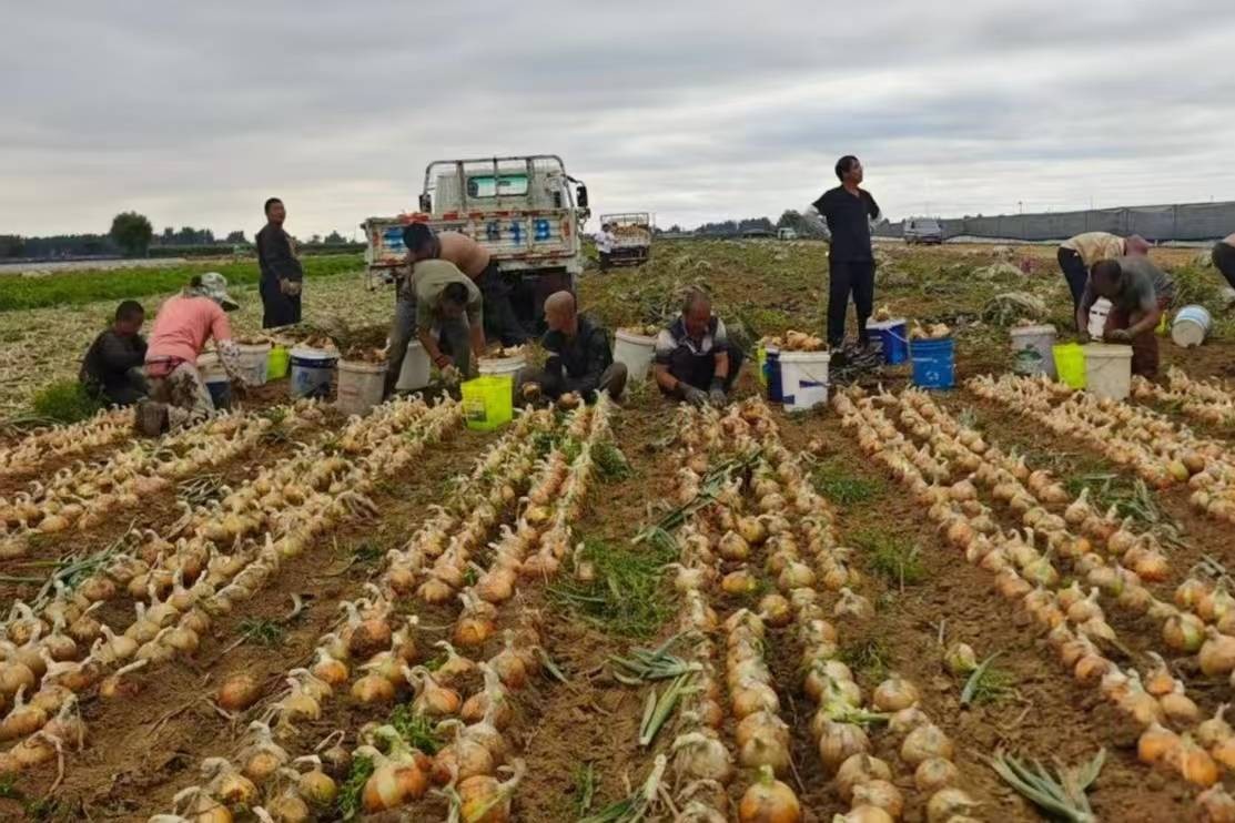開辟連鎖超市助農“新范式”，家家悅與農戶實現雙向奔赴
