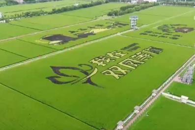 “豐收消費”打造農文旅融合新場景、新業態 打開田間地頭增收新空間
