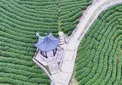 創意賦能玩法出新 長三角鄉村游如何“熱”起來？