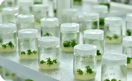 我國化妝品原料創新邁入多維賦能新階段