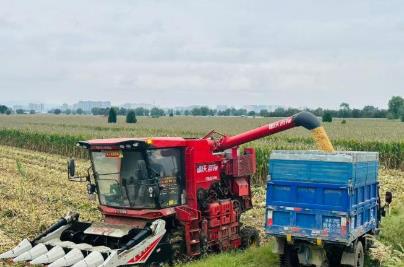 河南農業必須闖過“多雨常態”這道關