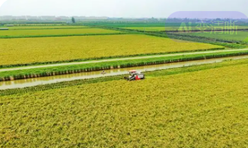 安徽省肥西縣建設現代農業產業園興產業帶就業促增收