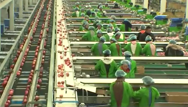 我國脫貧地區發展活力持續增強