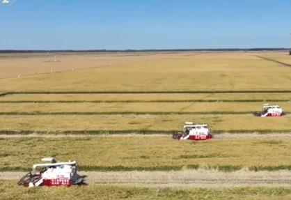 多舉措協同全力推進秋收 高科技農機與時間“賽跑”搶收搶種