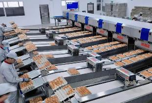 明年1月1日起施行 《蛋制品生產許可審查細則（2025版）》發布