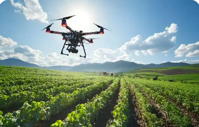 機器人采摘無人機運送 科技繪就農業豐收新圖景