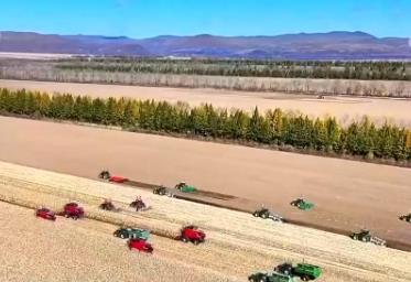 我國農業農村現代化邁出堅實步伐