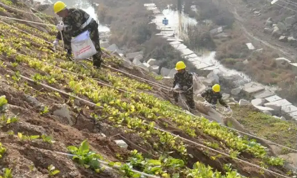 湖北率先發布兩項礦山修復標準