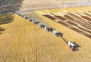 黑龍江省農作物耕種收綜合機械化率持續保持在99%以上 多年穩居全國首位