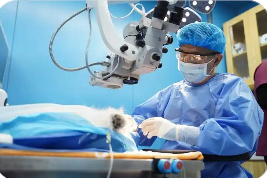 供需失衡、標準不一、監管滯后：寵物醫療市場亟待規范