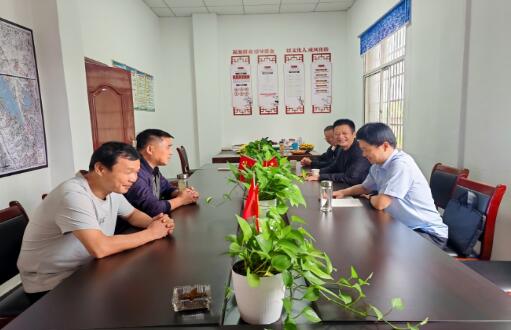 湖北浠水：入村巷察實情 謀振興譜新章