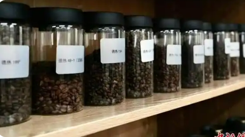 保存種質資源超千份 中國咖啡“芯片工廠”扎根邊城瑞麗