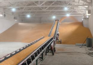 從“賣糧愁”到“放心收” 山西撥云見日穩秋實