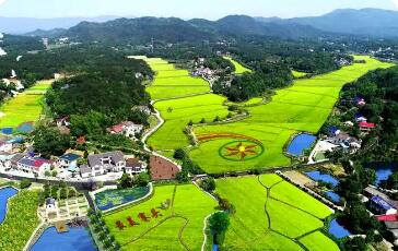 湖南國資系統精準施策 全方位助力鄉村振興