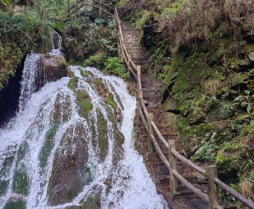 向山野，討一劑能量