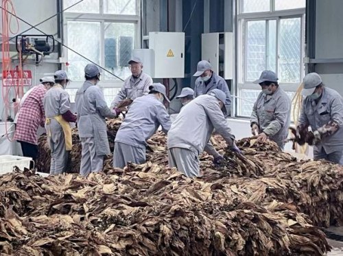 煙田踐初心 淬煉促成長——武漢市東西湖區吳家山管理所（市場部）新員工赴十堰跟班鍛煉心得