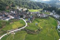 貴州黎平：體系創新激活招商引資新動能