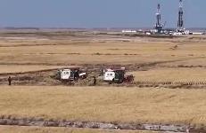 積極應對陰雨天氣影響，山西全力保障秋糧收購有序進行