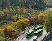 淡季出游 選擇更多