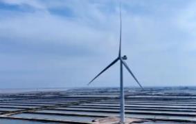 全球最大！26兆瓦級海上風電機組在山東并網發電