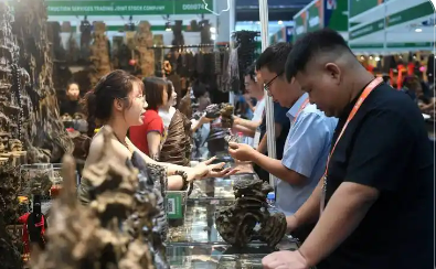 浙江企業拓展東盟市場迎來新機遇