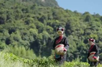 不同地域、獨具特色、歷史悠久 中國6項全球重要農業文化遺產獲授牌