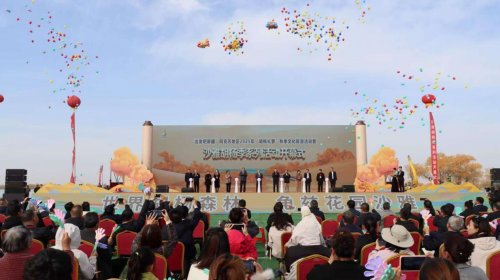 沙雅縣2025年胡楊季啟幕世界最大胡楊林綻放金色魅力