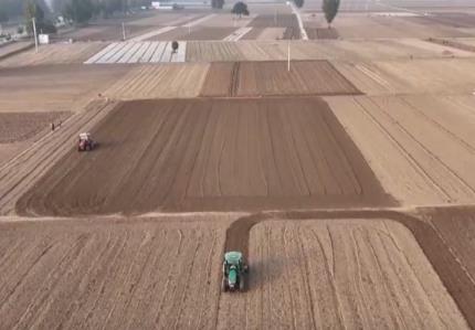 種足、種好、種優 “稻麥銜接”搶農時夯實2026年夏糧豐收基礎