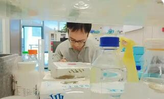 寬容失敗 為創新“兜底” 海南出臺科技創新盡職免責實施辦法