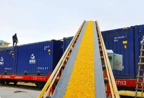 決勝“最后一公里” 構建糧食外運新通道