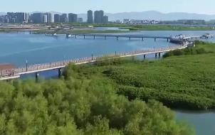 打造從山頂到海洋的生態保護修復示范區  廈門發布生態保護修復三年行動規劃