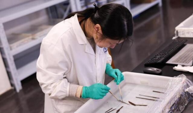 海昏侯墓考古發掘領隊：首次發現秦漢時期全本《詩經》