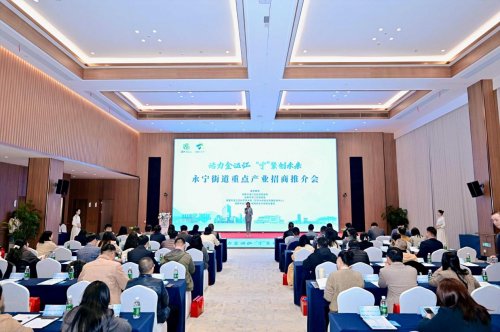 活力金溫江，“寧”聚創未來  永寧街道重點產業招商推介會成功舉辦