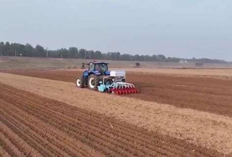 截至11月10日，全國冬小麥播種近七成