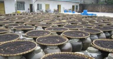 廣東運用金融工具賦能地理標志產業發展