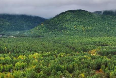 黑龍江：厚植高質量發展綠色底色