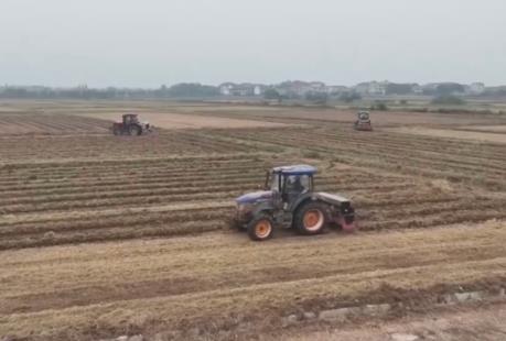 “新技術+新機械”助力播栽 夯實來年豐產豐收基礎