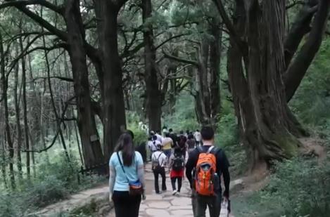 “冰雪+補貼”“彩林+溫泉”“秋假+研學”齊發力 文旅市場激蕩消費新活力