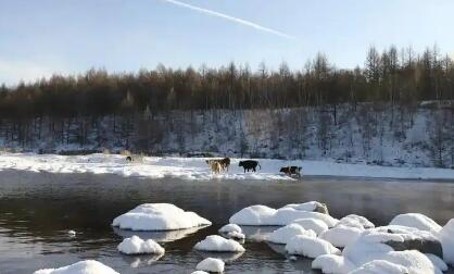 興安盟激活冰雪“冷資源” 打造旅游“熱產業”