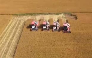 生產線上有多“拼”？加速！新裝備、新服務搬到田埂上 全力保障秋冬種